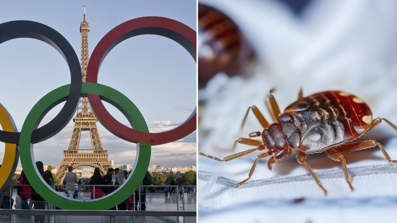 Olympiáda v Paríži, ploštice