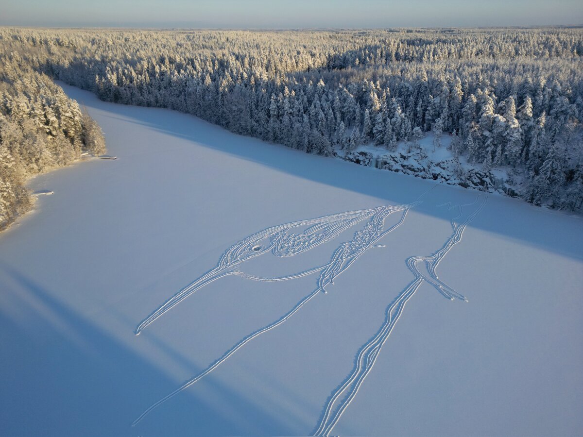 Vták zobrazený v snehu
