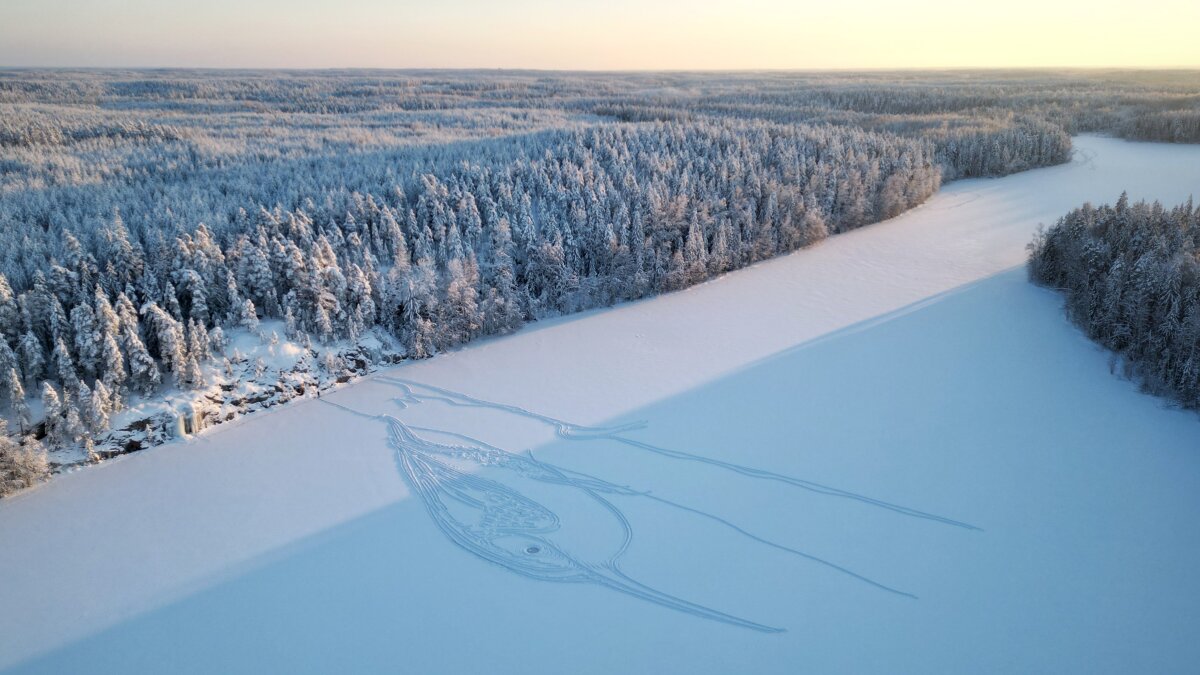 Vták zobrazený v snehu