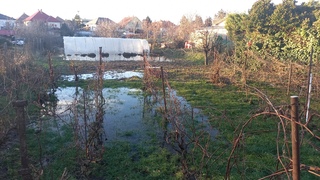 FOTO: Zaplavené pivnice a záhrady. Na juhu Slovenska majú problémy s podzemnou vodou