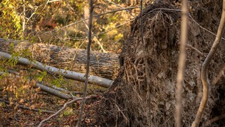 Pozrite si RADAR: Platia najvyššie výstrahy pred vetrom. Na Chopku dosiahol silu orkánu, záchranári vyzývajú na opatrnosť