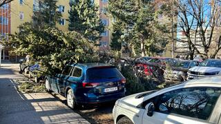 Povytŕhané korene, stromy popadané na autách. Takto u nás vyčíňa silný vietor