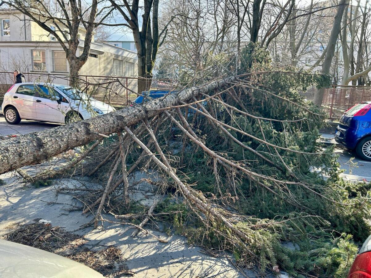 Vyčíňanie vetra na Haburskej ulici v Bratislave