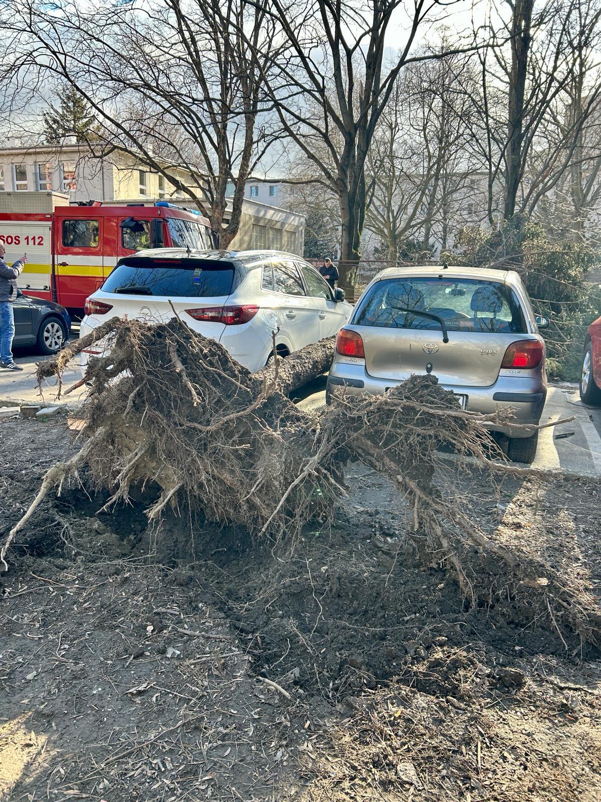 Vyčíňanie vetra na Haburskej ulici v Bratislave