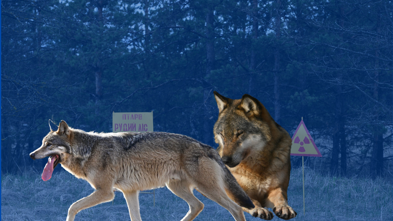 Bratislava (402290) - 2024-02-12T151105.342.png