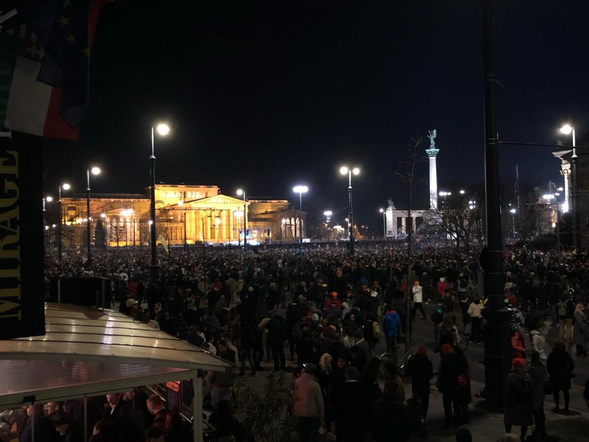 WhatsApp Image 2024-02-16 at 19.01.04 (1).jpeg