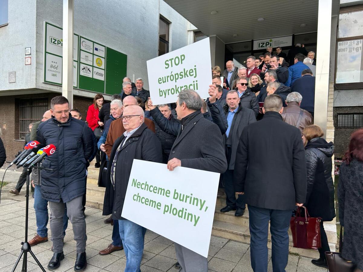 WhatsApp Image 2024-02-20 at 13.38.12.jpeg