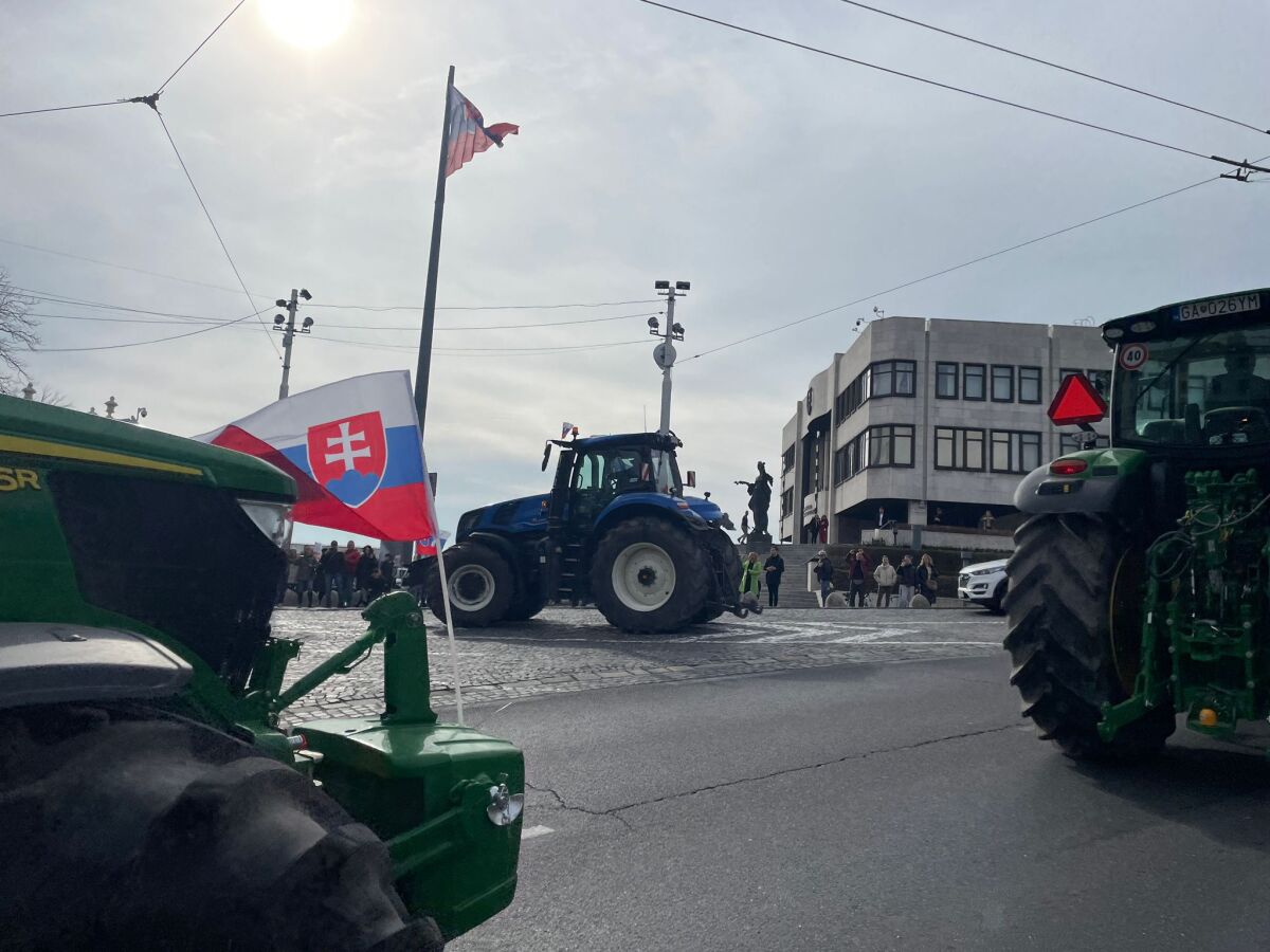 WhatsApp Image 2024-02-22 at 11.33.07.jpeg