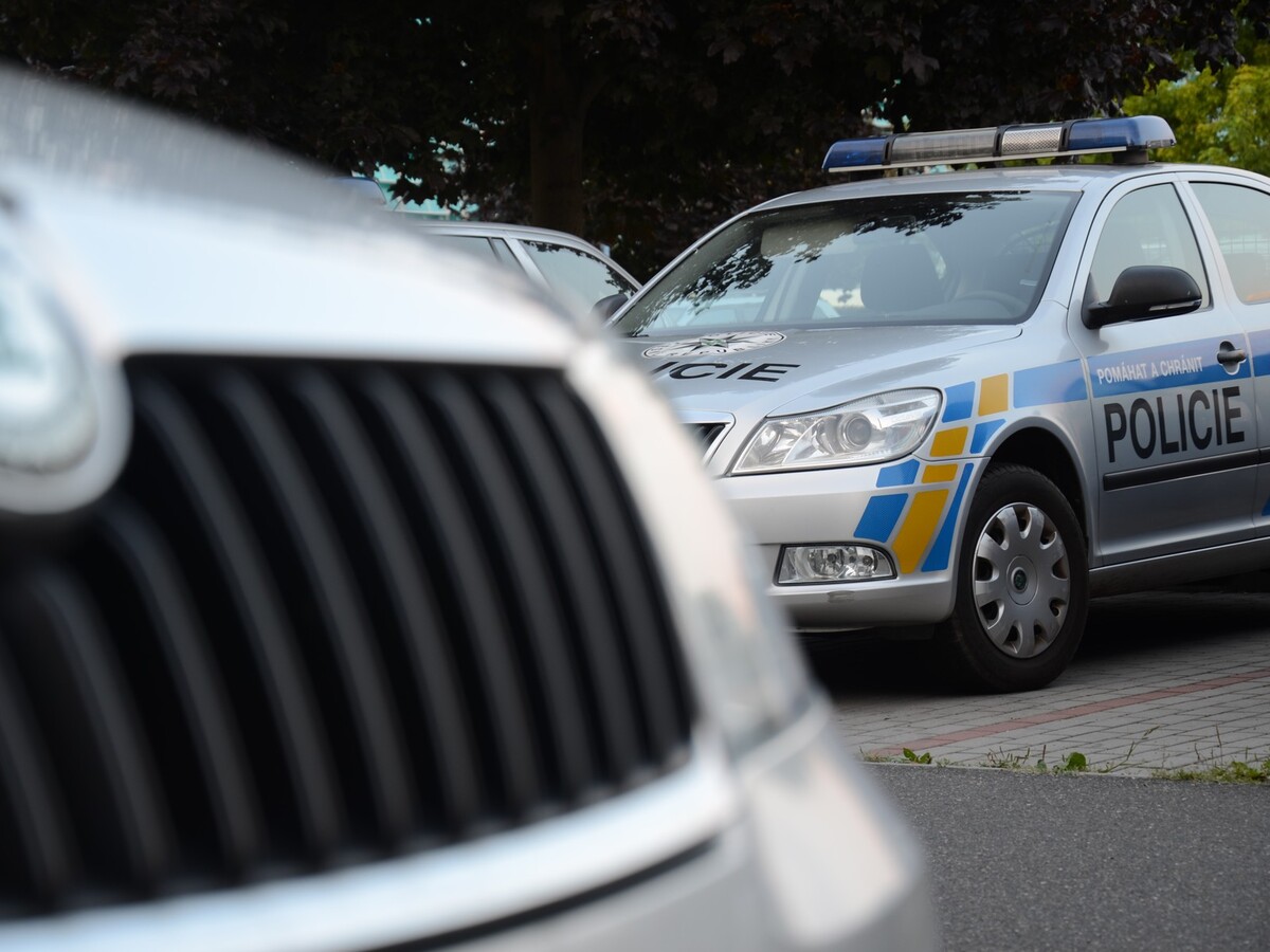 Policie Česko