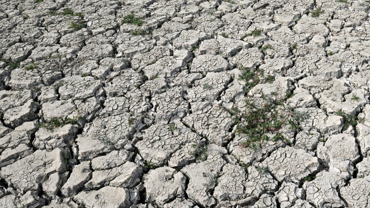 Sucho prestáva byť len letným problémom. Zimy bez zrážok vážne ohrozujú ...