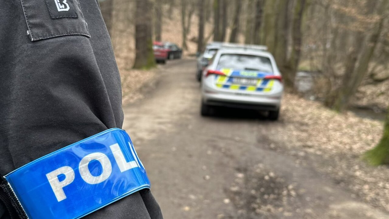 Policie Česko les