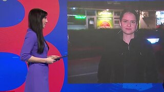 Český prezident má za sebou prvý rok vo funkcii. Ako vníma jeho rok v úrade politologička?