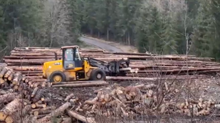 Ťažba dreva v TANAPe naberá hrozivé rozmery. Pozrite si, ako vyzerá Kôprová dolina 
