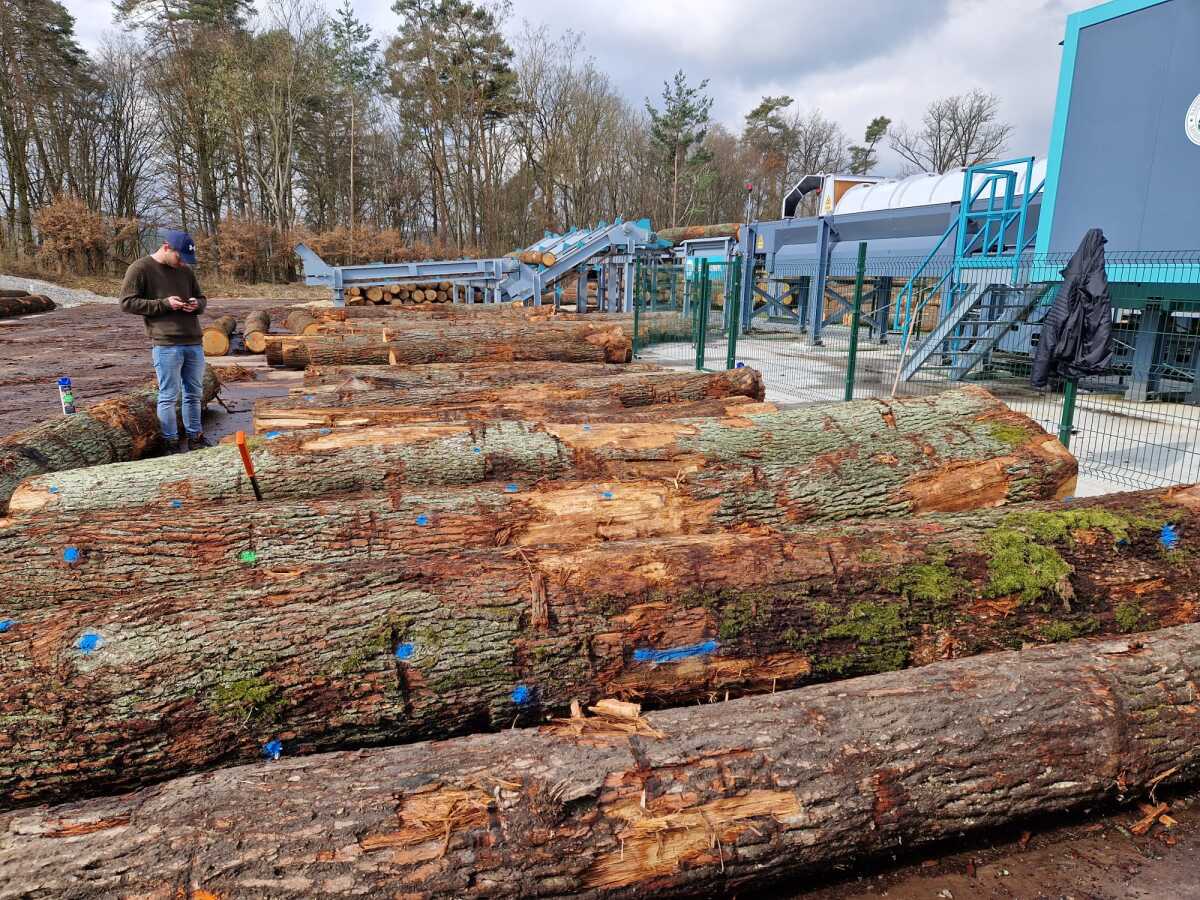 WhatsApp Image 2024-03-12 at 11.30.27.jpeg