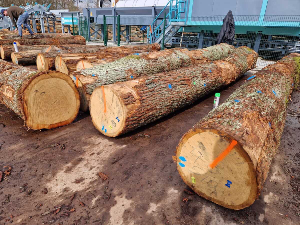 WhatsApp Image 2024-03-12 at 11.30.23.jpeg