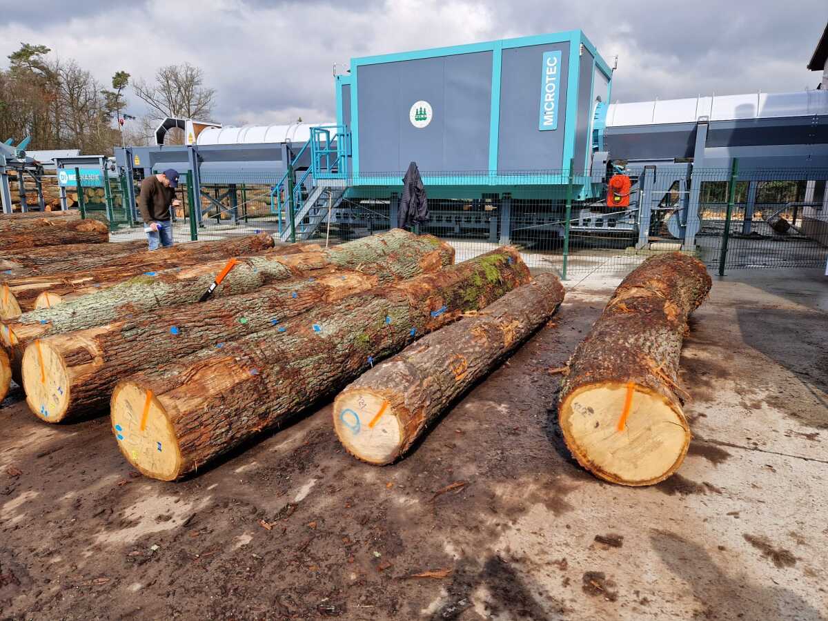 WhatsApp Image 2024-03-12 at 11.30.22.jpeg