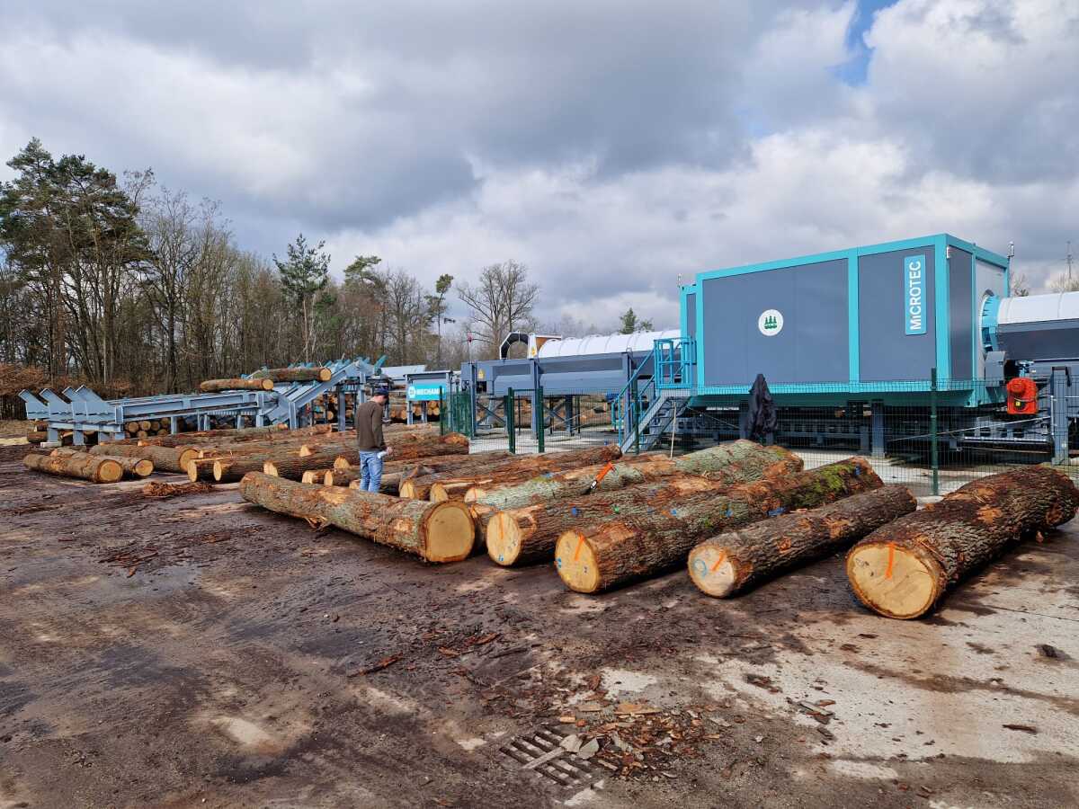 WhatsApp Image 2024-03-12 at 11.30.21.jpeg