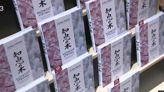 Múdrosť stromov v novej knihe. Aký význam majú v tejto publikácii?