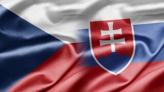 Prieskum SANEP: Fiala doma pohorel, Fico nesklamal. Ako Slováci a Česi vnímajú stopku vo vládnych rokovaniach?
