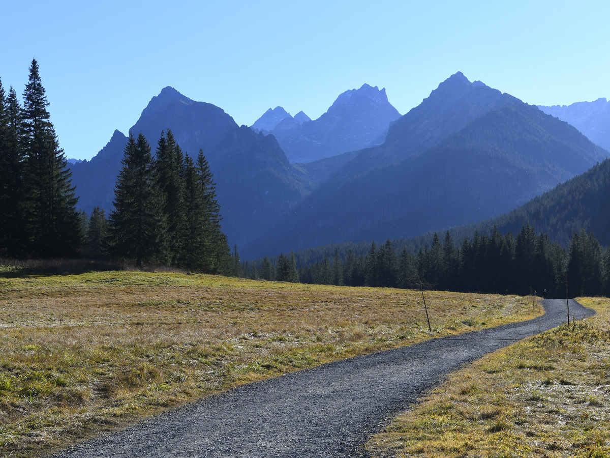 Vysoké Tatry