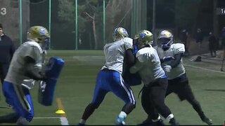 Bratislava Monarchs má za sebou úspešný vstup do sezóny. Čaká ju  derby s Nitrou Knights