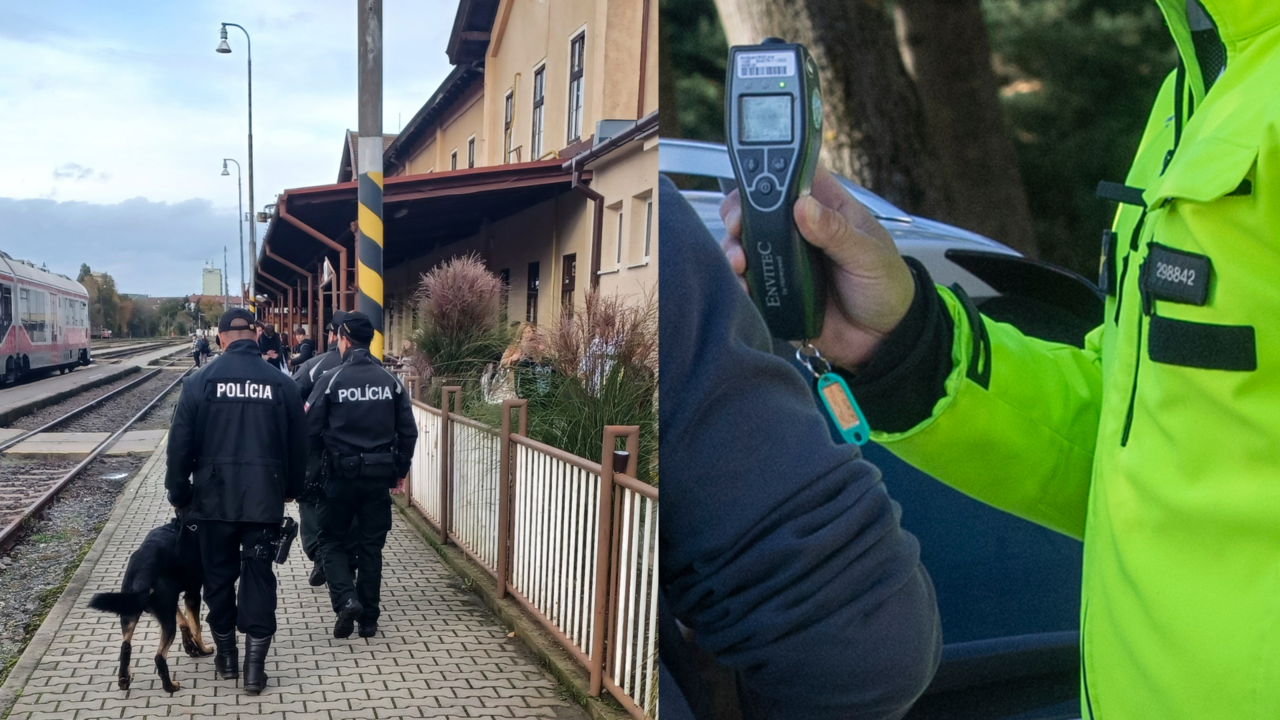 Polícia - kontrola na stanici - na cestách