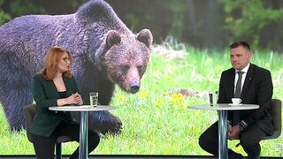  Nebudeme sa pozerať, ako nám medveď trhá deti, tvrdí Taraba. Po zmene legislatívy by šelmu mohol odstreliť policajt i poľovník