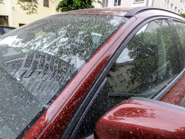 Doslova biela sobota. Slovensko zasiahlo veľké množstvo saharského prachu