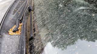 Slová meteorológov vás zrejme nepotešia.  Saharského prachu na Slovensku podľa nich naďalej pribúda