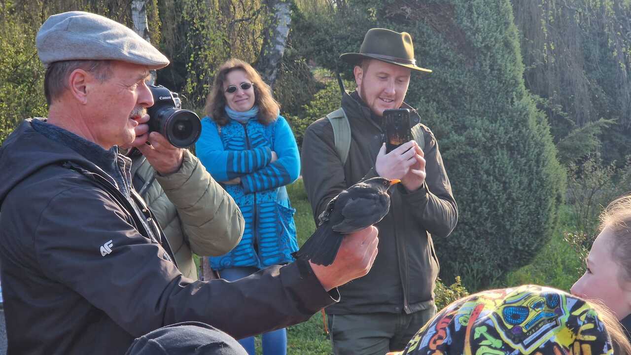 WhatsApp Image 2024-04-03 at 10.33.15 AM.jpeg