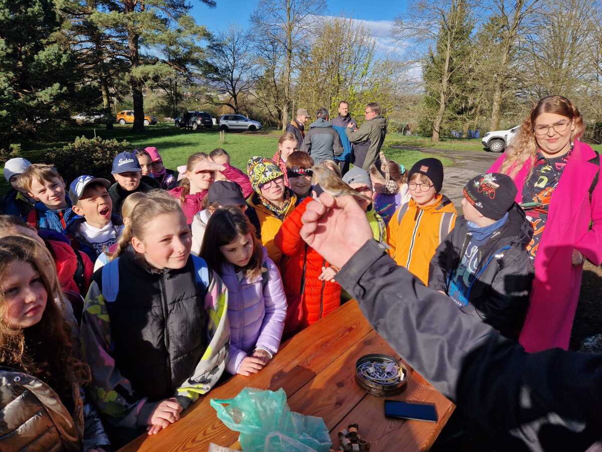 WhatsApp Image 2024-04-03 at 10.33.16 AM (2).jpeg