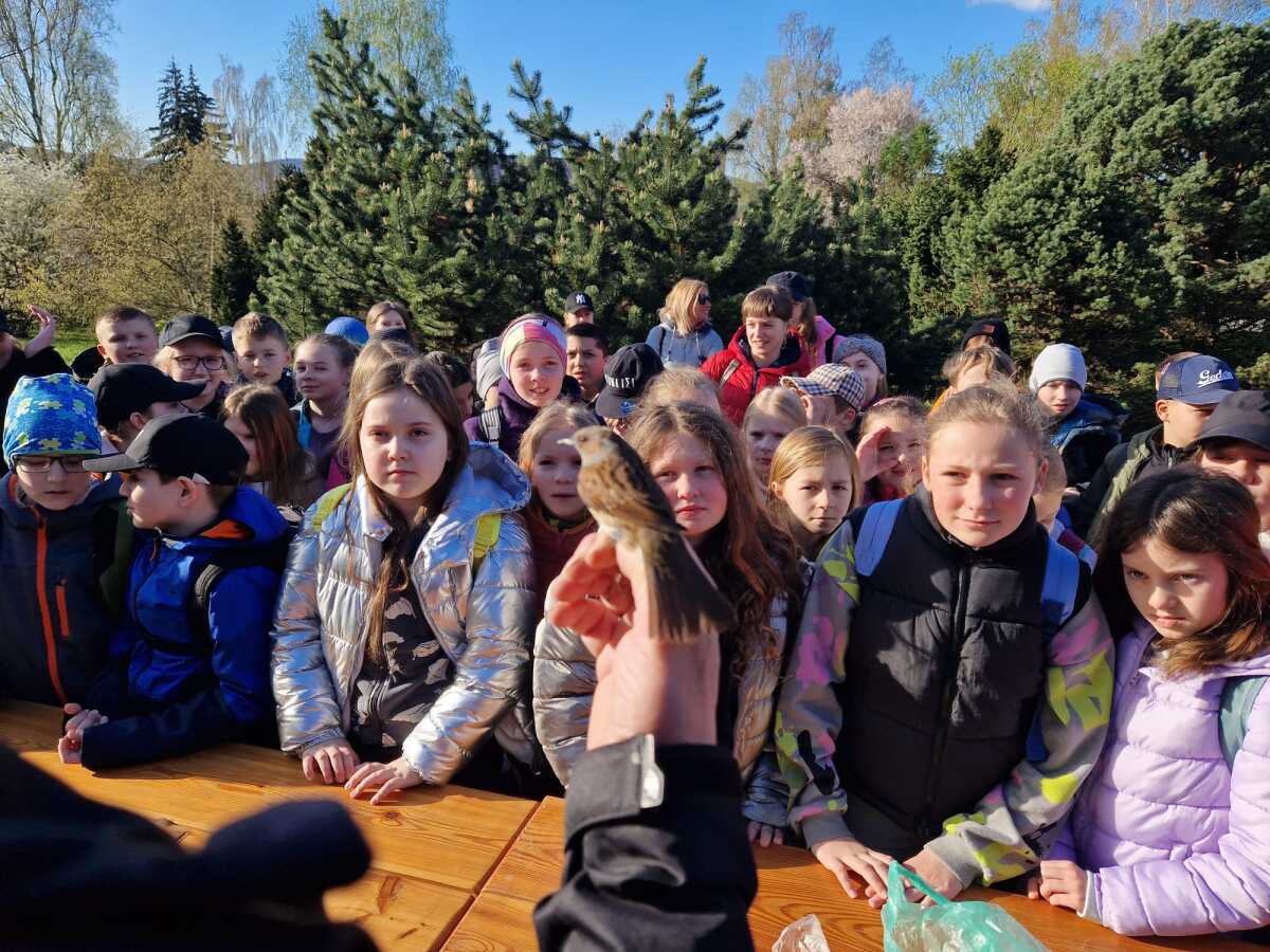 WhatsApp Image 2024-04-03 at 10.33.16 AM (1).jpeg