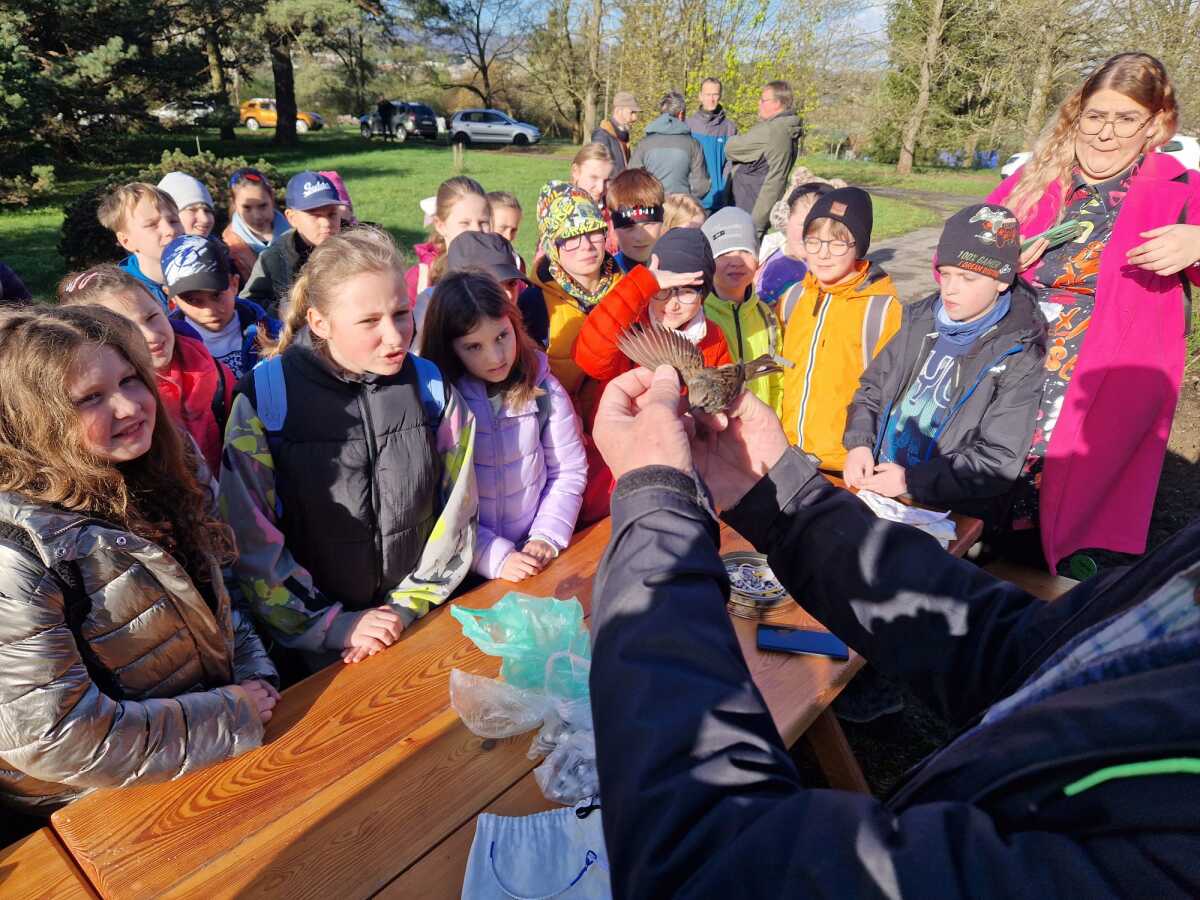 WhatsApp Image 2024-04-03 at 10.33.16 AM.jpeg