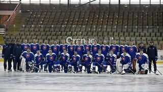 Slovenskí europoslanci vyzvali SZĽH, aby zakázal reprezentovať hráčom z KHL. Hokejisti sa podľa nich stali naivnými bábikami režimu