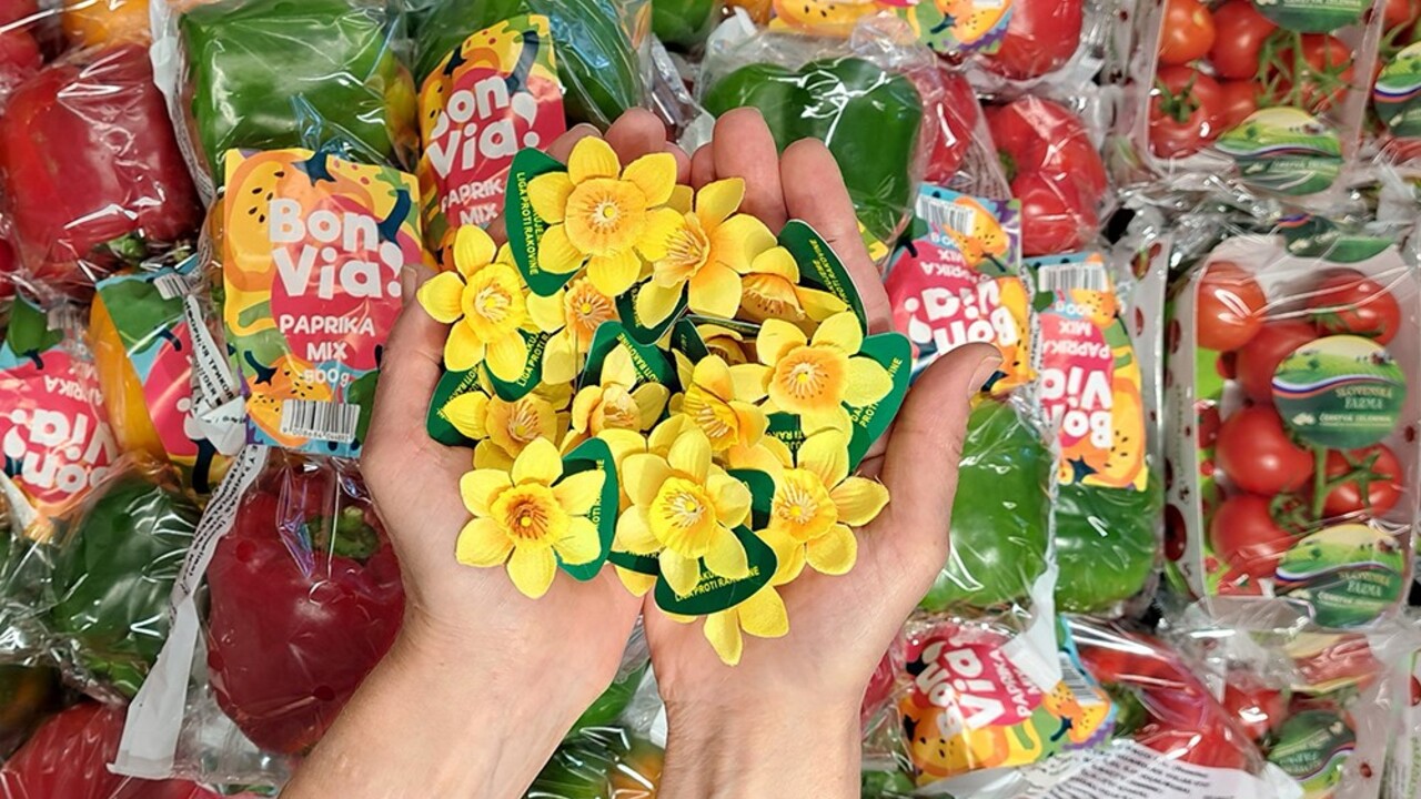 thumbnail_BILLA_Den narcisov_3.jpg