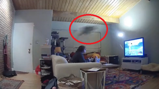 Lietajúci kocúr sa stal hitom internetu. Prirovnávajú ho k legendárnemu Michaelovi Jordanovi 