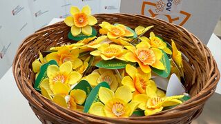 Slováci majú veľké srdcia. Dôkazom je historický výnos zo Dňa narcisov