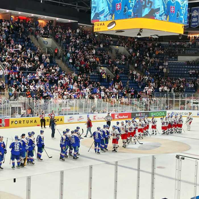 Slovensko - Česko hokej