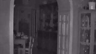 Taliansko zasiahlo zemetrasenie. Otrasy cítili v Neapole aj vo Florencii