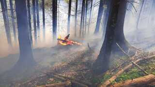 V rezervácii Dobročský prales horelo. Hasiči bojovali s plameňmi v strmom teréne, situáciu komplikoval vietor 