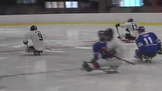 Začali sa MS v parahokeji, Slováci nezvládli duel s USA. Prinášame súbor pravidiel