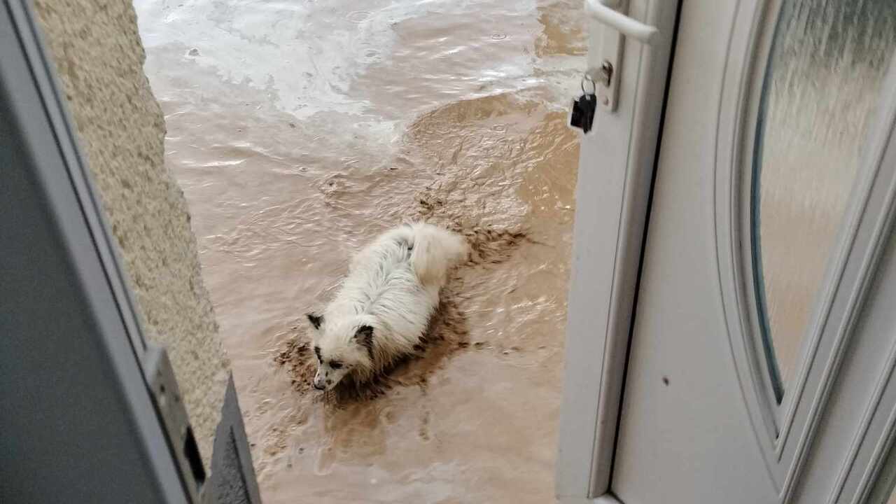 Patrizánske povodeň