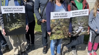 Súdržnosť pre prírodu: Aktivisti sa stavajú proti plánovaným prepúšťaniam v národných parkoch