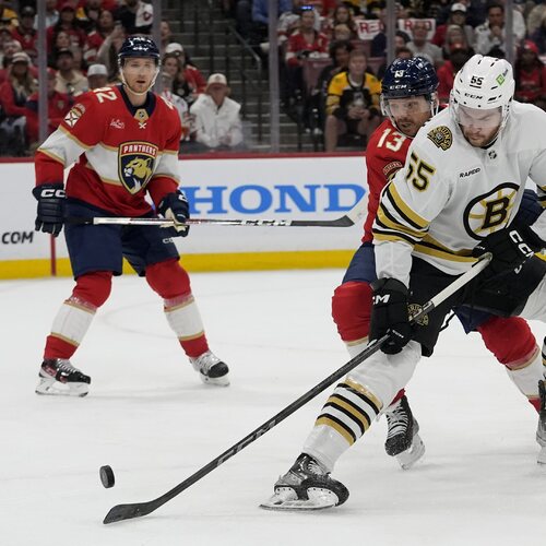 Bruins_Panthers_Hockey315853.jpg
