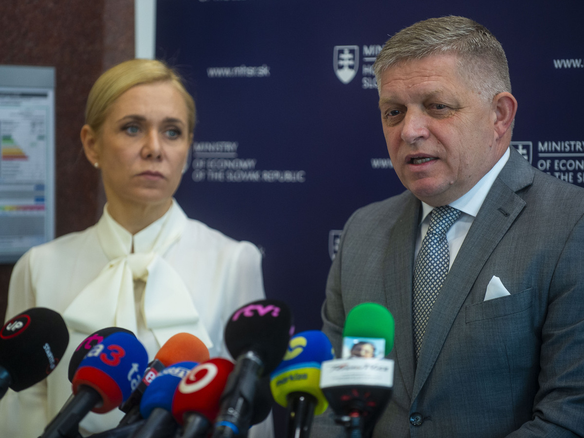 Denisa Saková, Robert Fico
