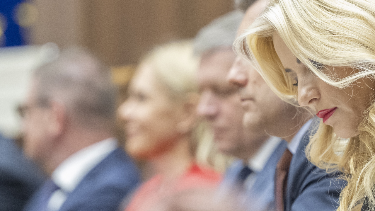 parlament Martina Šimkovičová