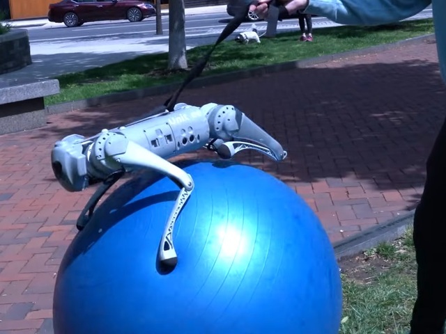 ChatGPT trénuje robotického psa, aby chodil na fit lopte