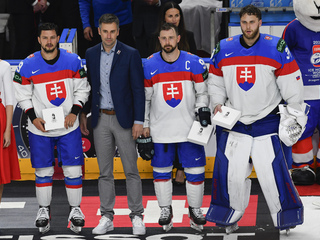 slovensko hokej