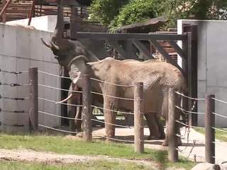 3-DOBRE-SPRAVY-TN-CISTENIE-ZOO