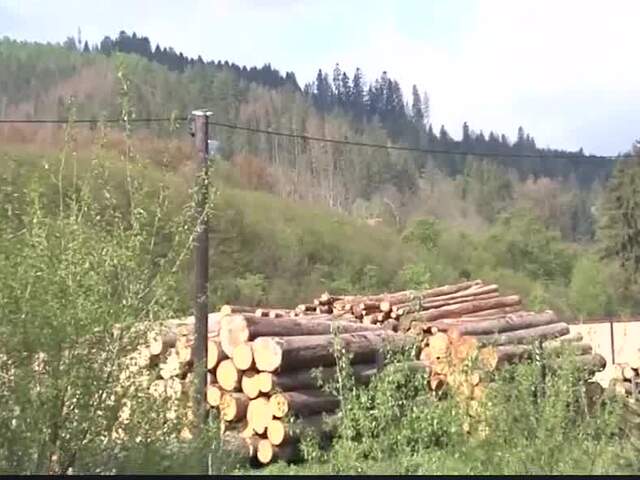 Boj s lykožrútmi na Horehroní pokračuje. Kalamitu stále nemajú úplne pod kontrolou